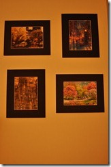 New Decoration and Life