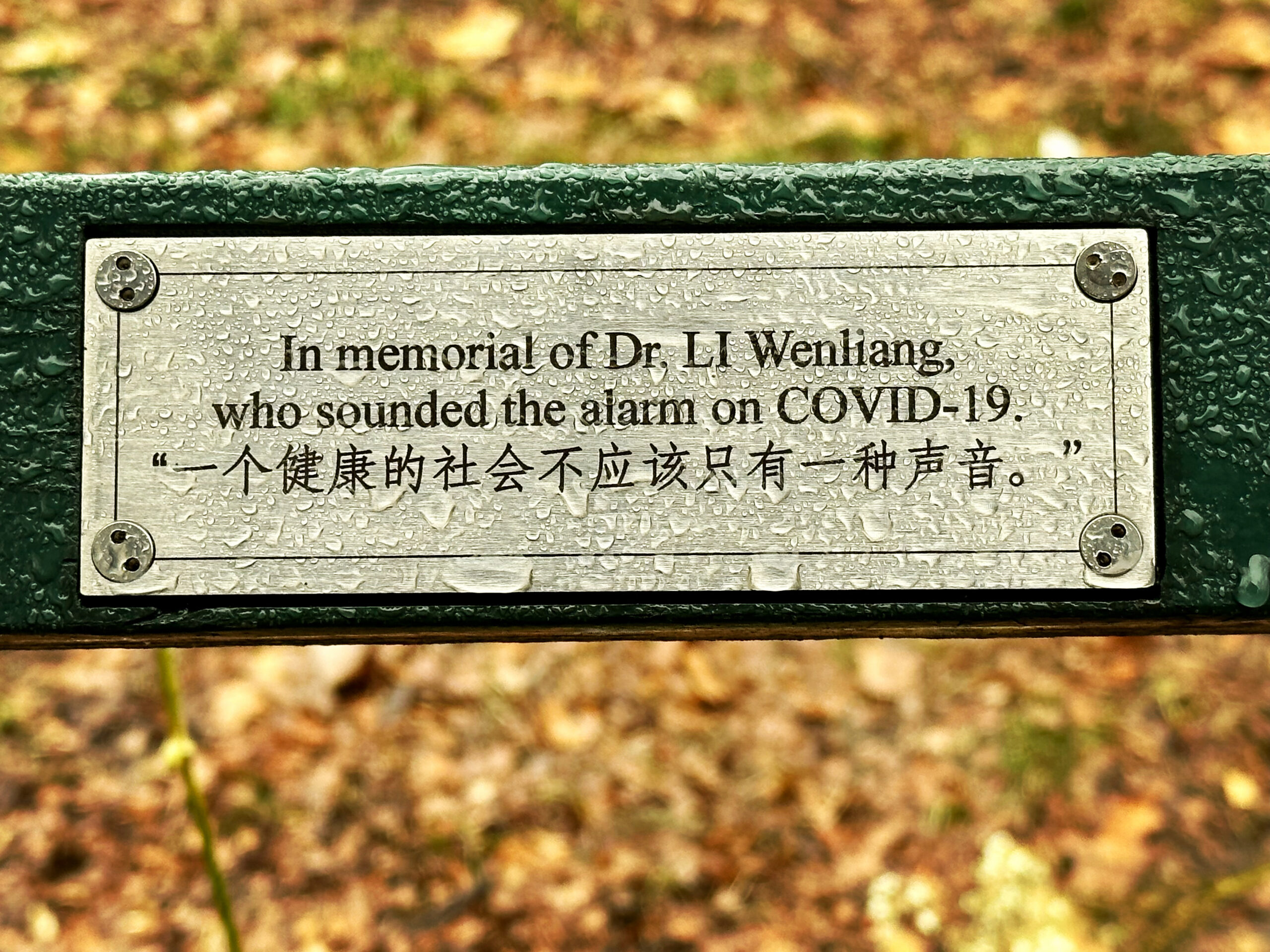 中央公園的長椅