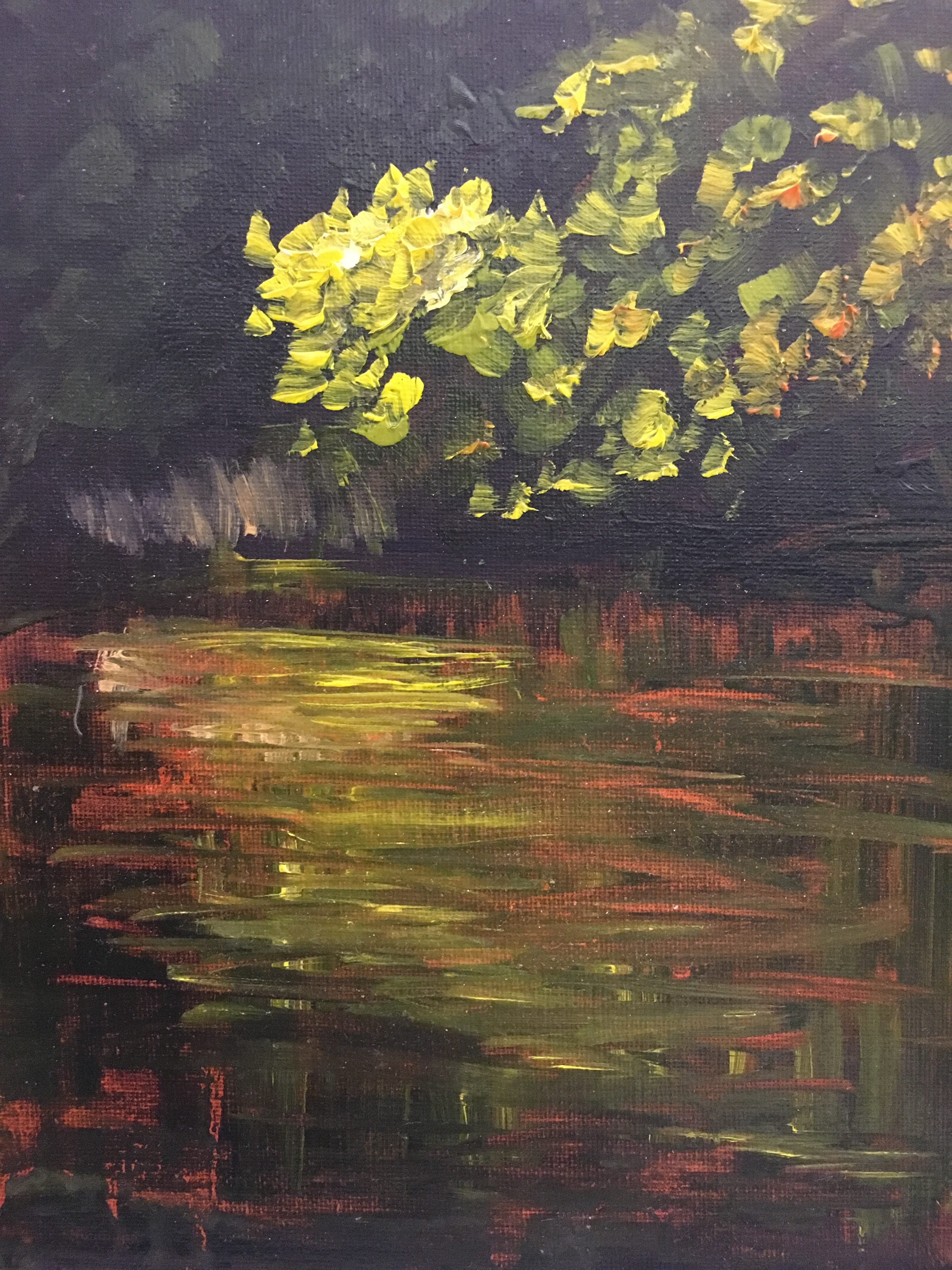 Central Park water