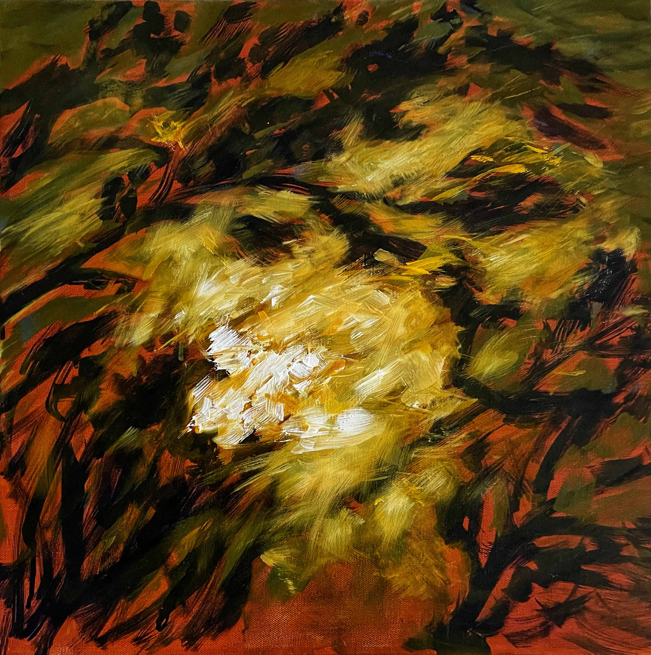 Imaginary Forest