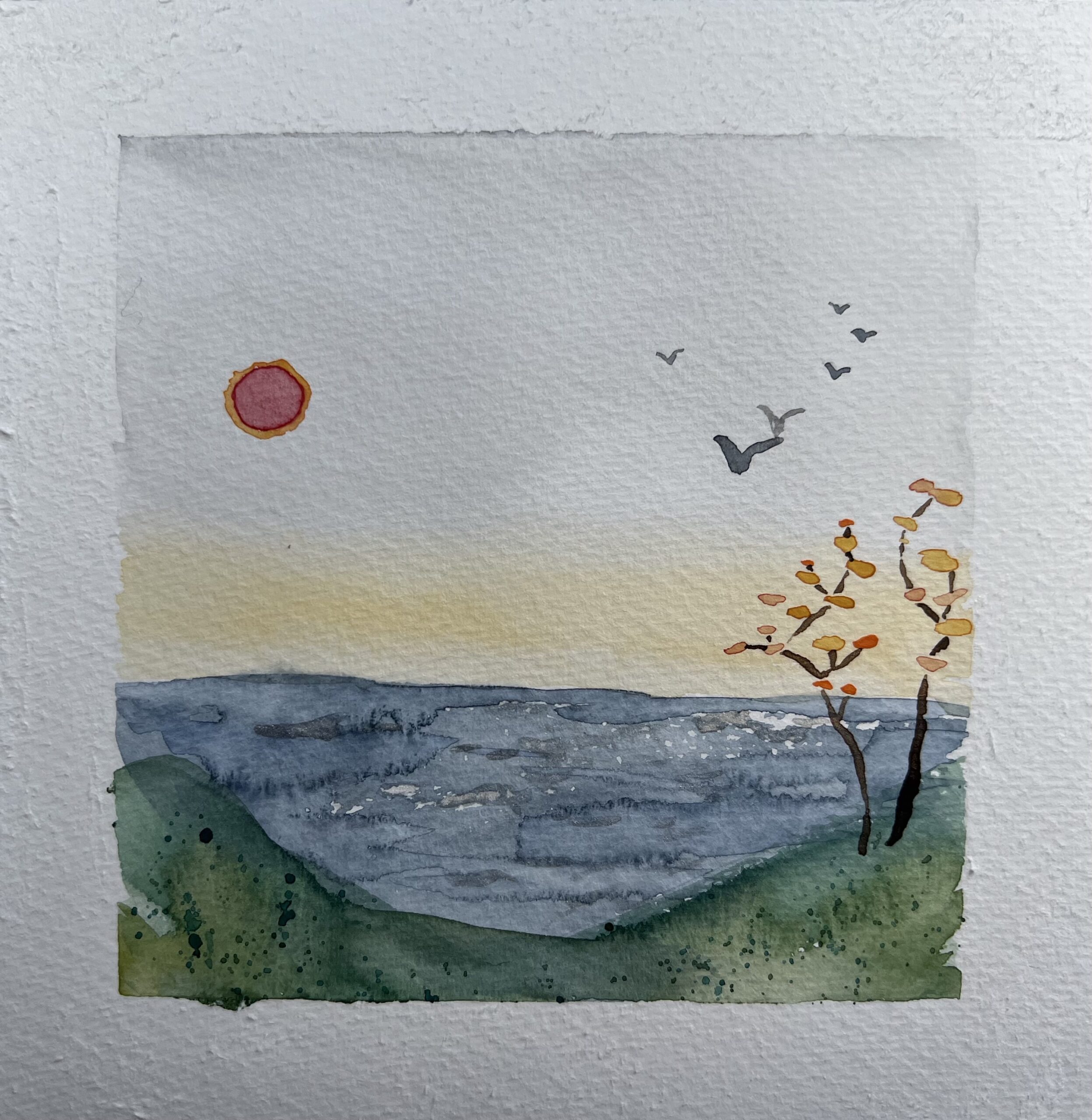 Summer’s day