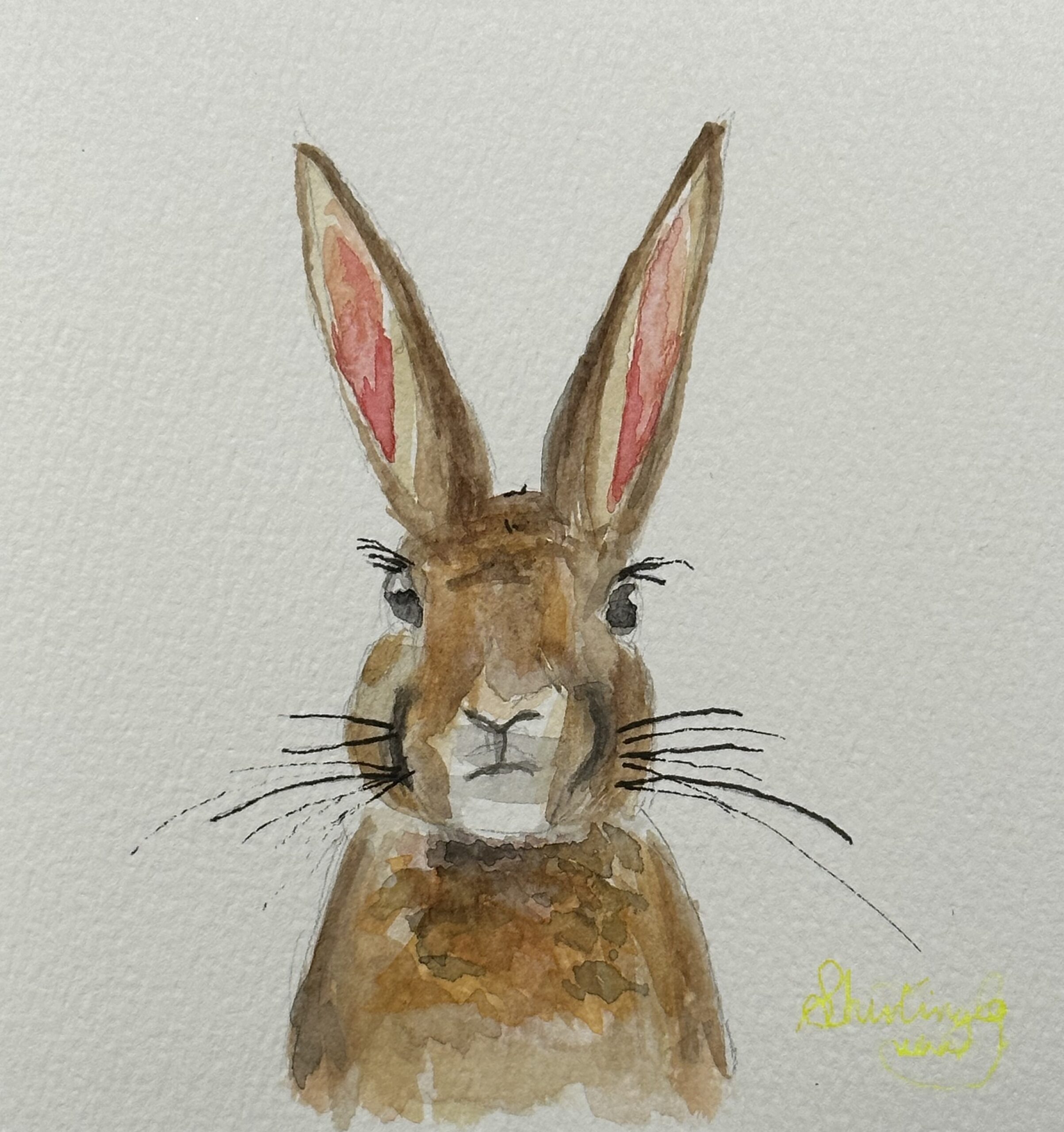 In the year of bunny