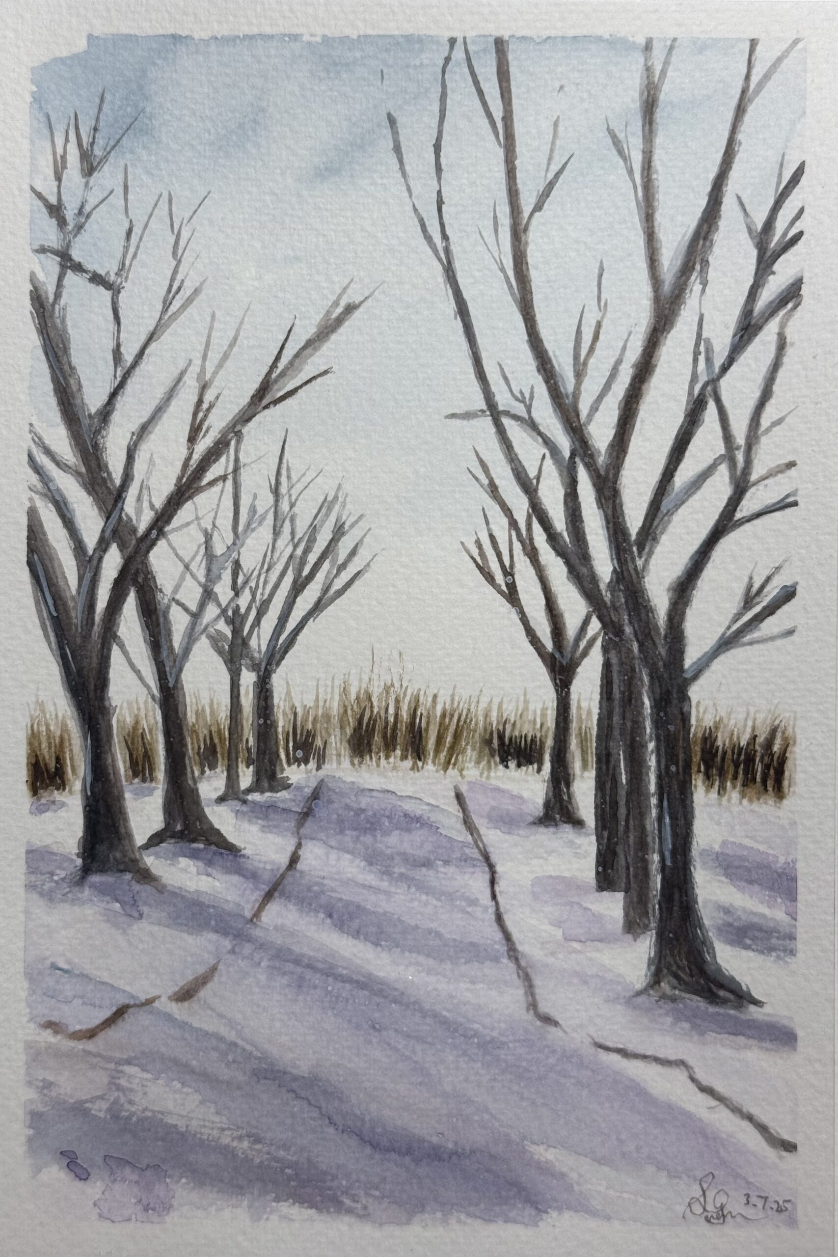Winter Snow Scene