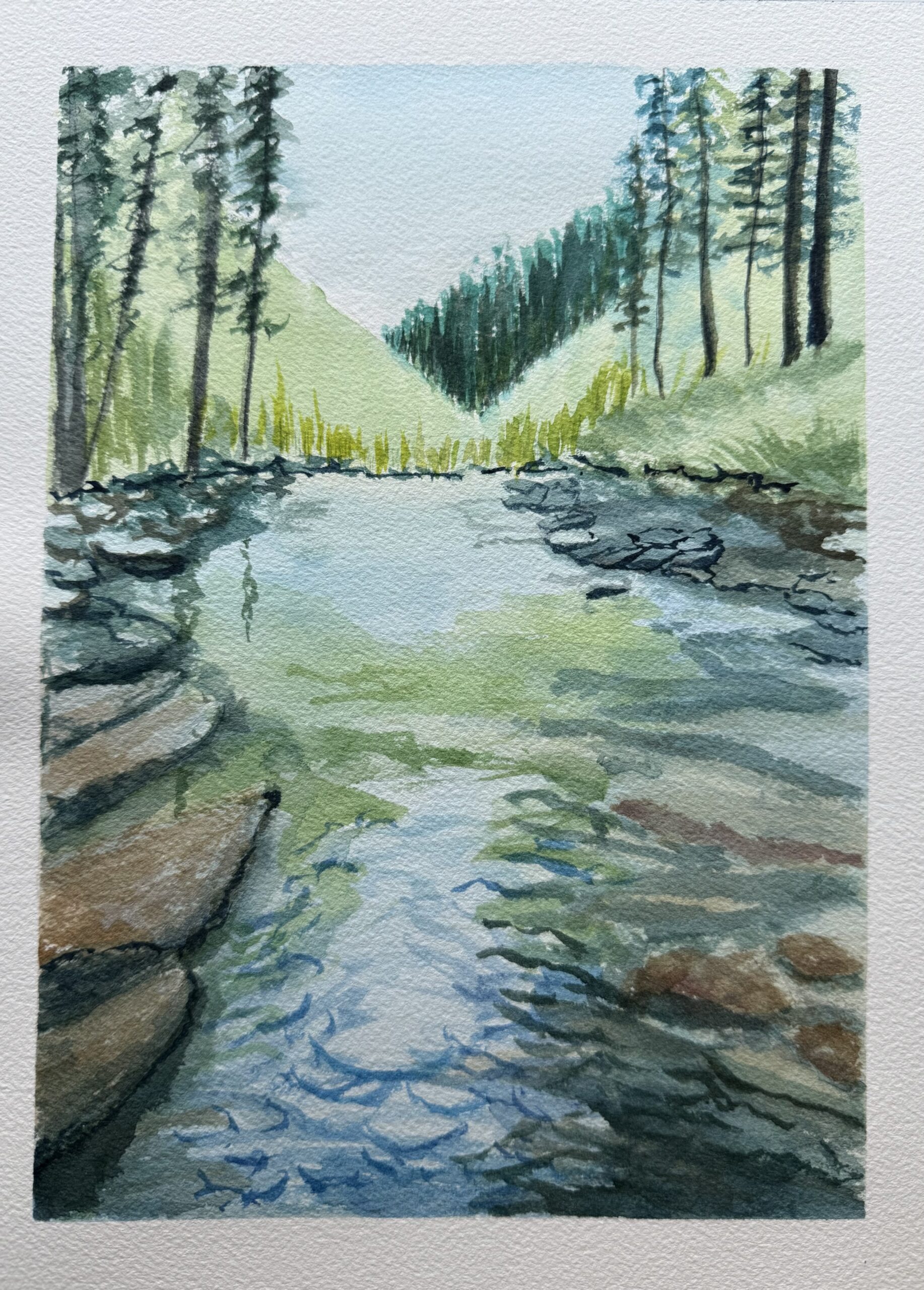 Forest Spring